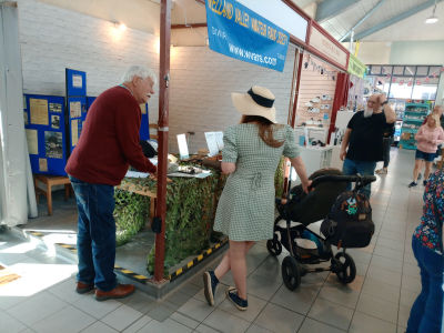 Description of Picture.